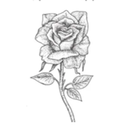 Harkness Roses Logo