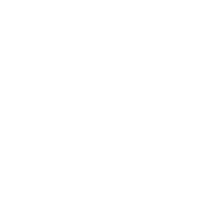 Rosini Photography Logo