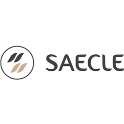 Saecle Logo