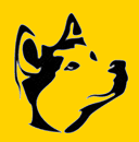 sali-deutschland.de Logo