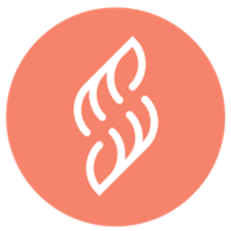 Salontotal Logo
