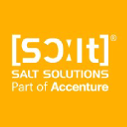 SALT Solutions GmbH Logo