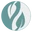 Salufast Logo