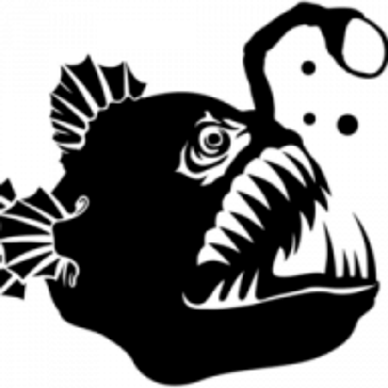 Samoa Timmendorf Logo