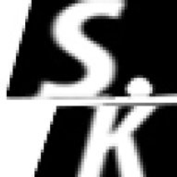 samuraischwert.kaufen Logo