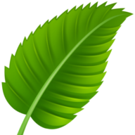 Sanadigest Logo