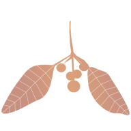 sandal-cosmetics.com Logo