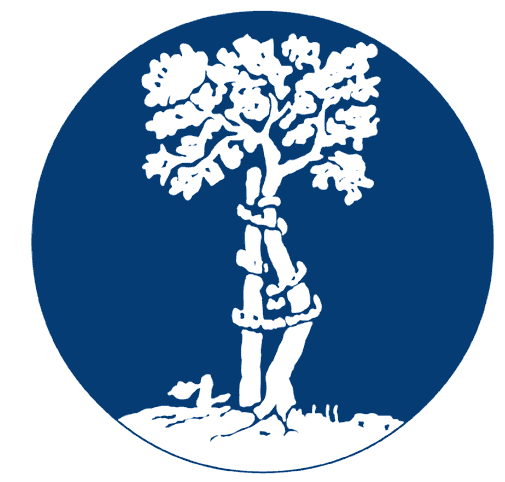 Meyer-Teschendorf Joachim Dr. med. Orthopäde Logo