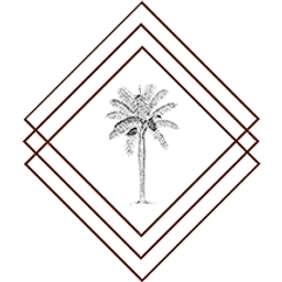 Sasa Nik Lifestyle Travel Logo