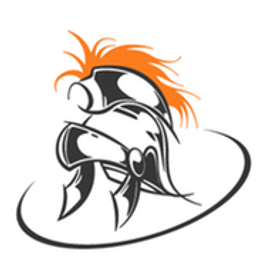 satinbettwaesche24.de Logo