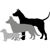 SAUERLAND Logo