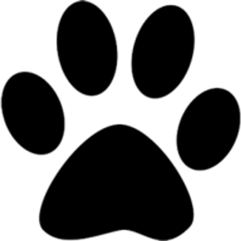 Savethedogsbih Logo