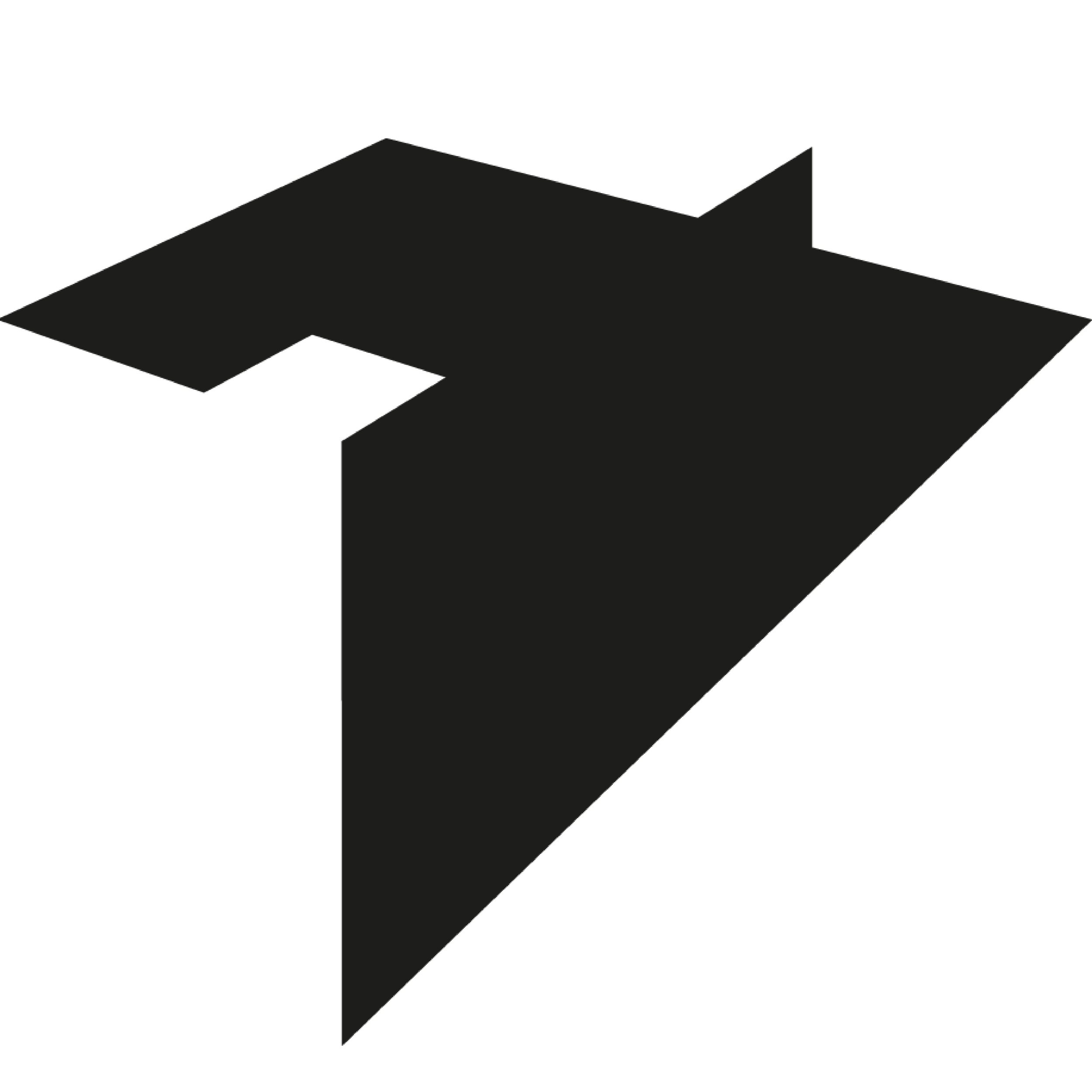 Seel Bobsin Partner Designkonzeption Logo