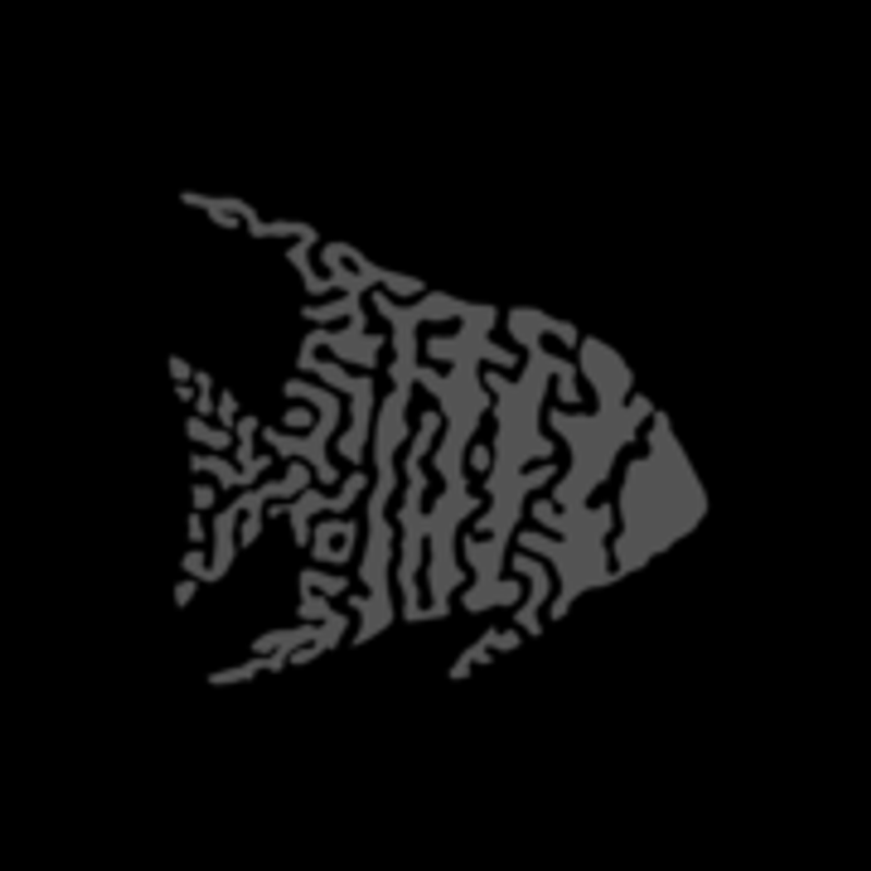SCALES SwimSkins Logo