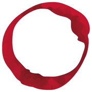 Scarpovino Logo