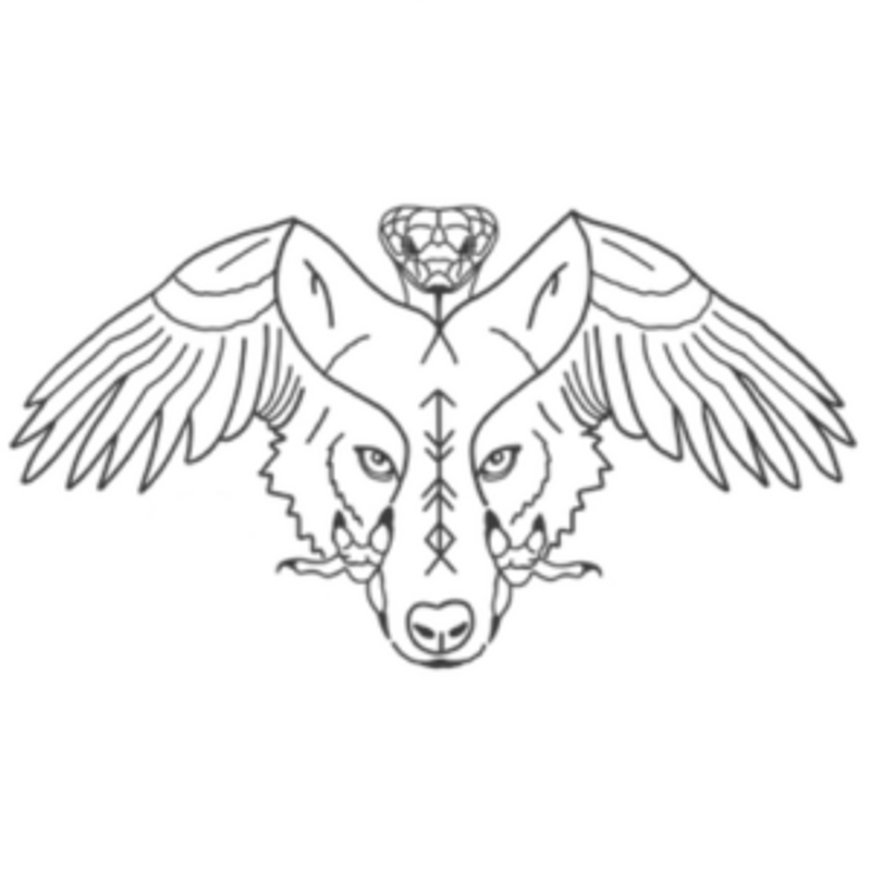 Schamanisch Bewusst mit Benjamin Maier Logo