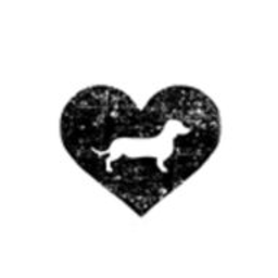 Schattenfell - Hundefotografie München Logo
