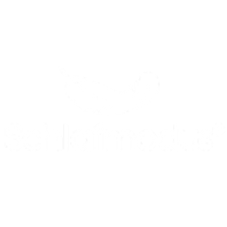 schlafmodus.eu Logo
