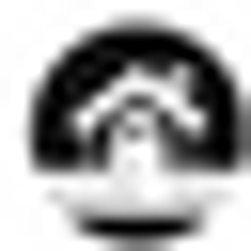 Schloss Profi Logo