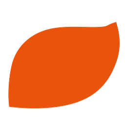 schluerf.de Logo