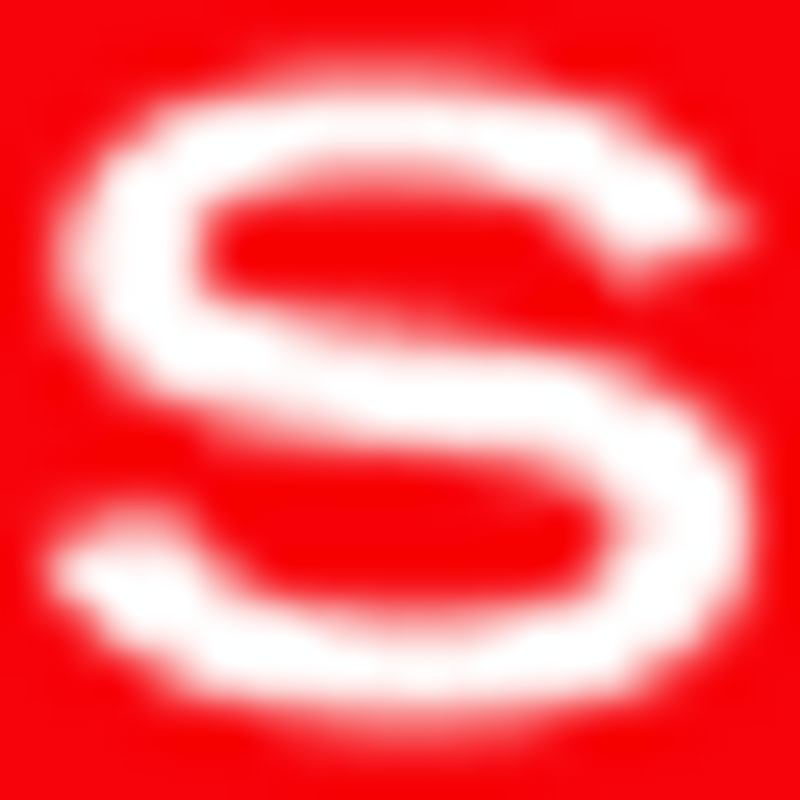 Schmidt Schadenservice GmbH & Co. KG Logo