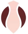 Schmidt Frauke Dr.med., Sturm Heike Ärztinnen für Frauenheilkunde und Geburtshilfe Logo