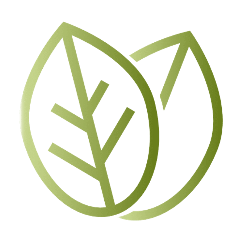 Schneebeli Blumen Garten Logo