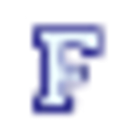 Furth GmbH Logo