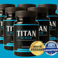Titan Schub Logo
