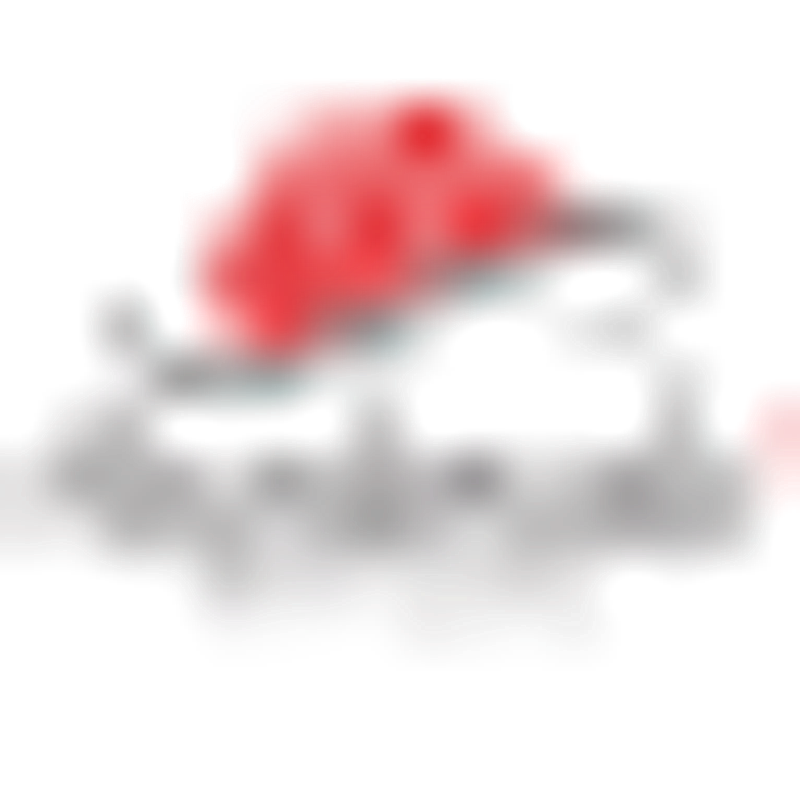 Schwarzwald Bioseife Logo