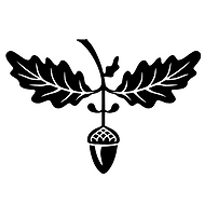 Schwarzwild Tattoo Logo