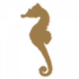 Dittel Pool & SPA GmbH Logo
