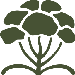 Secretnaturecbd Logo