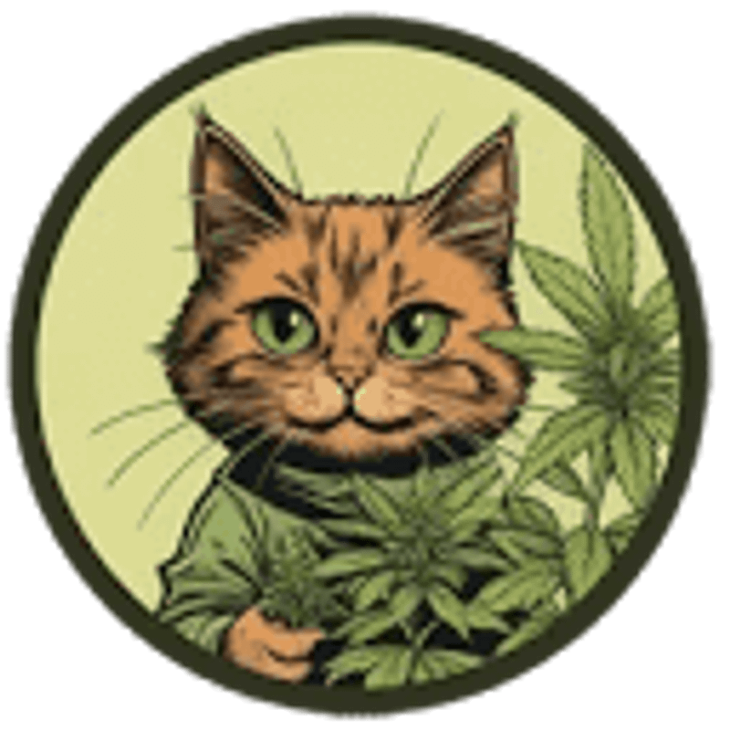 SeedKitty Logo