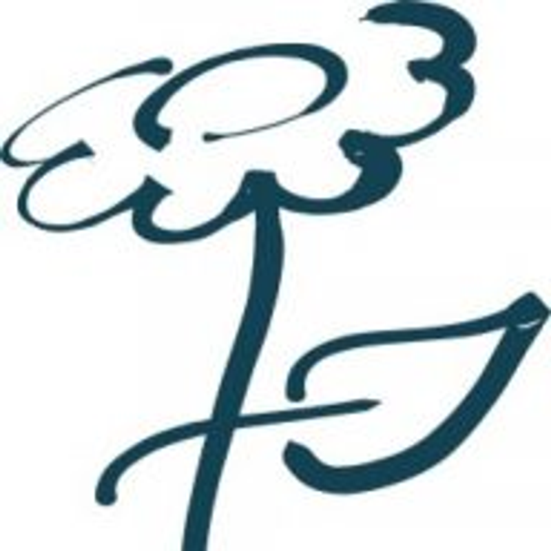 Seienswert Logo