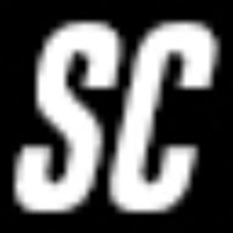 SENCONSULTING Logo