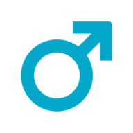 Nils Sturies Logo