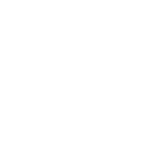 SHAMELESS COLLECTIVE Logo