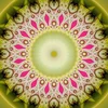 ShenDo Shiatsu Gesundheitspraxis Logo