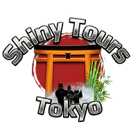 Shiny Tours Logo