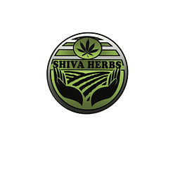 Shiva Herbs Logo