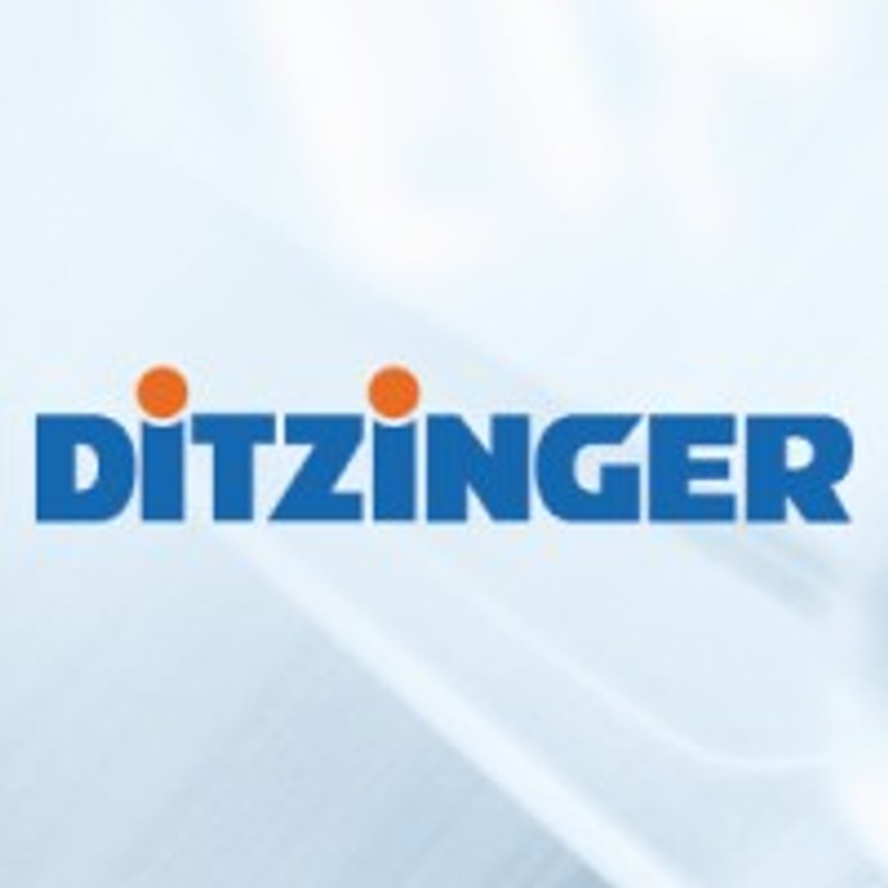 Werner Ditzinger GmbH Logo