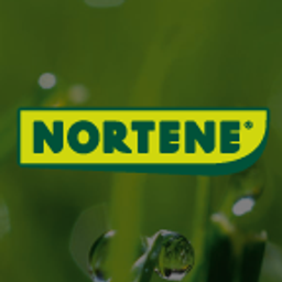 Nortene ES Logo