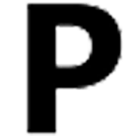PARTNER - Forte dei Marmi Logo