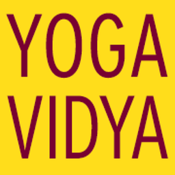 shop.yoga-vidya.de Logo
