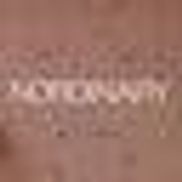 NORDINARY Logo