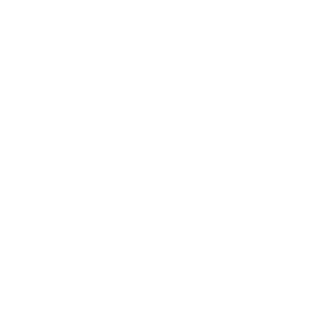 Shopwebsites Logo