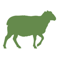 Shropshire-Schafe Gerstenhof Logo