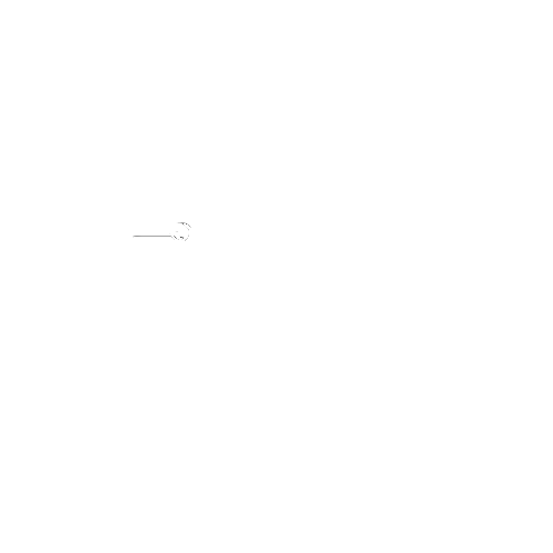 Shuttleservice Rhein Main Flughafentransfer Logo