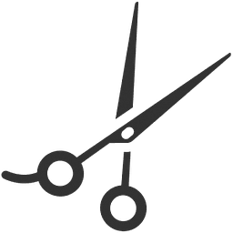 Salon Siegward Schneider Logo